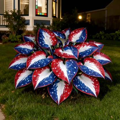 USA 250th Anniversary Premium Rare Hosta Seeds
